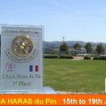 CAI-A Haras Du Pin Golden Wheel CUP Price 2009, TEAM Driving Winner